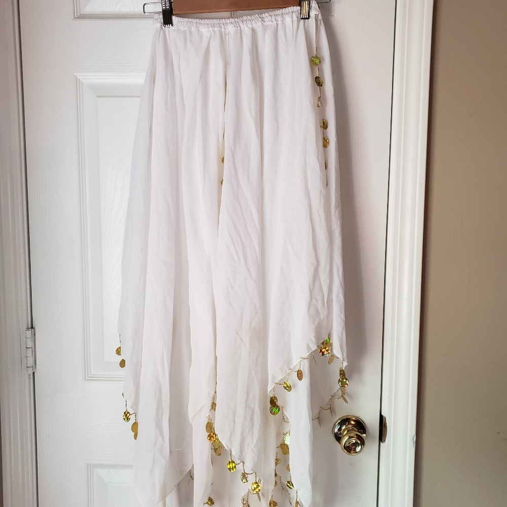 Professional Turkish bellydance set size 36C. - Picture 7 of 7